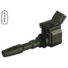 DELPHI GN10631-12B1 Ignition Coil